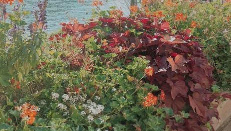 Pflanztag 2025 | &copy; Ortsgemeinde Spay