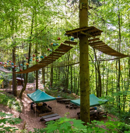 Kletterwald Sayn | &copy; Henry Tornow