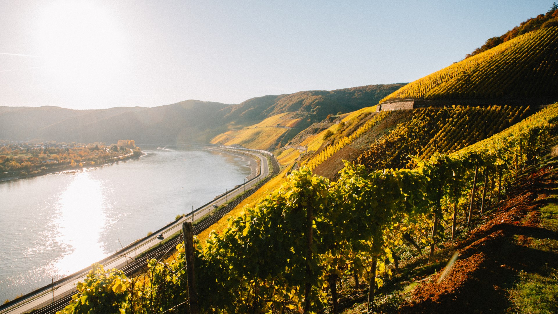 Bopparder Hamm Richtung S&uuml;den | &copy; Weingut Matthias M&uuml;ller