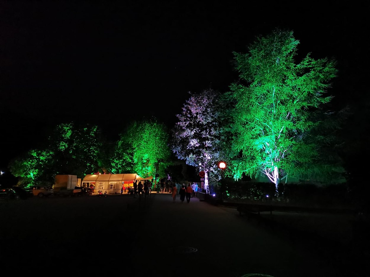 Rhein ohne Flammen 08.08.20 GW1 | © Günther Werner Rhein ohne Flammen 08.08.20 GW1 | © Günther Werner