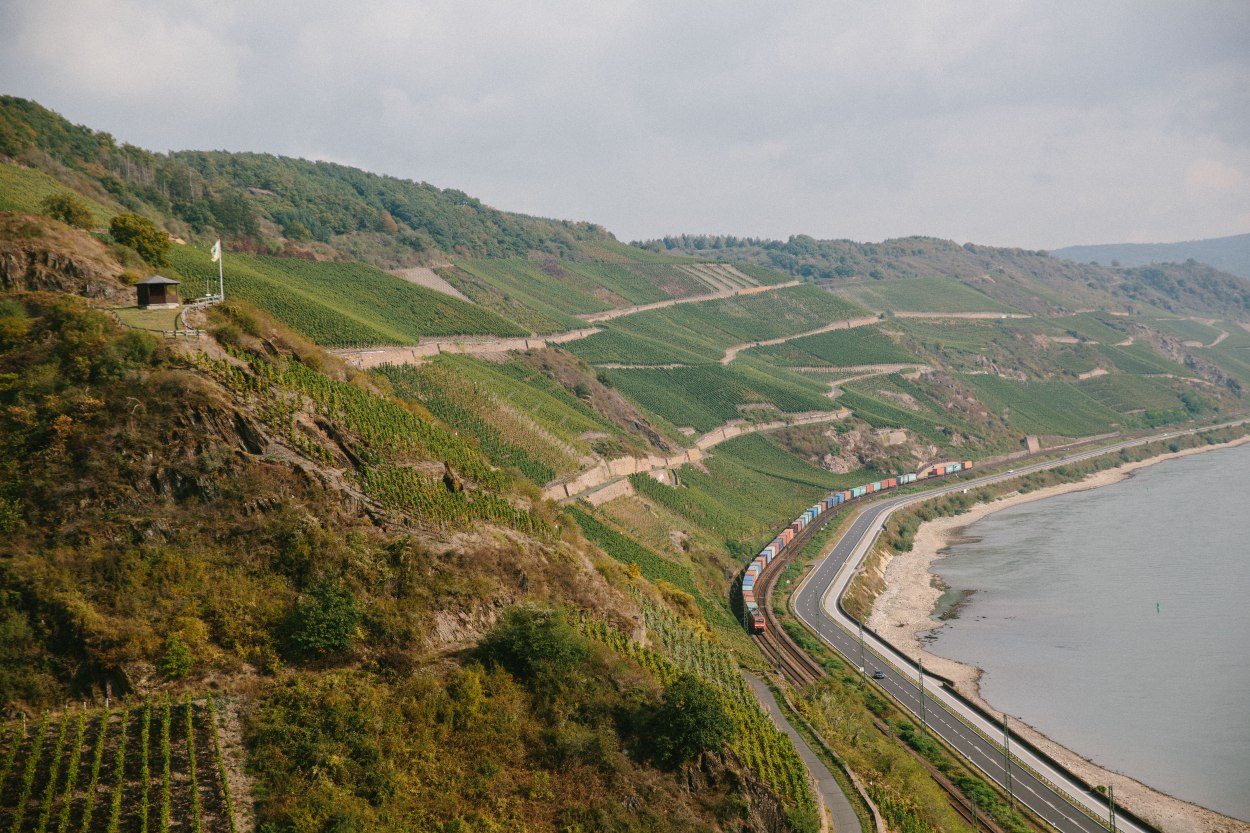 Bopparder Hamm Richtung Norden | © Weingut Matthias Müller