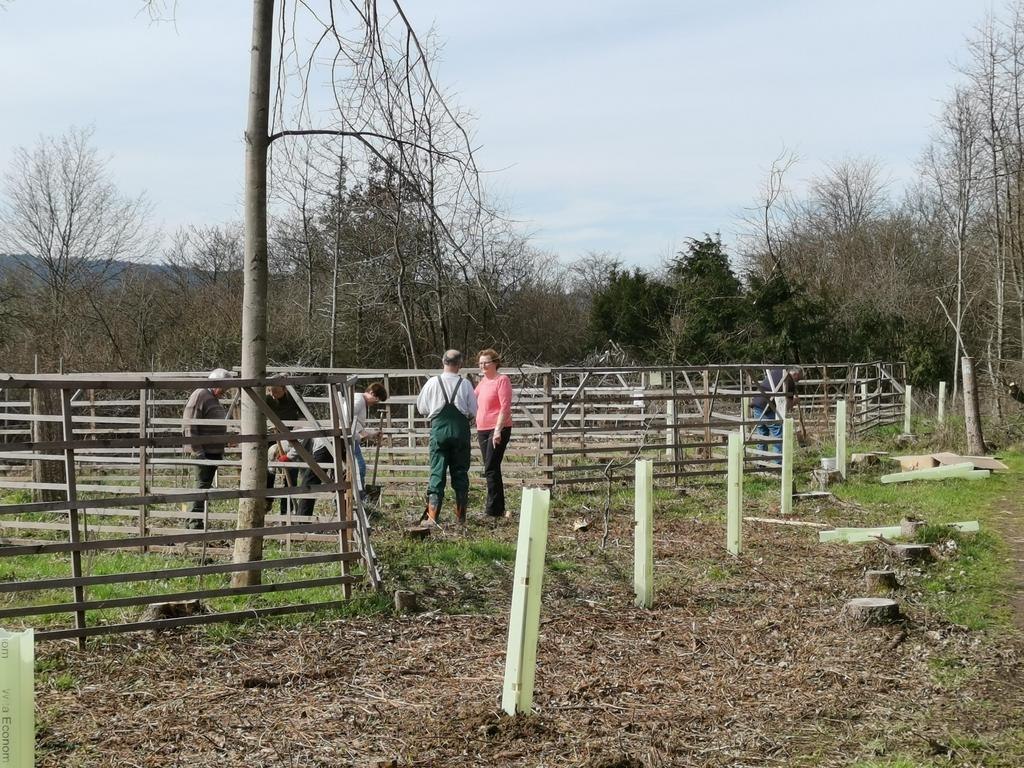 Baumpflanzung GDS  | © Günther Werner