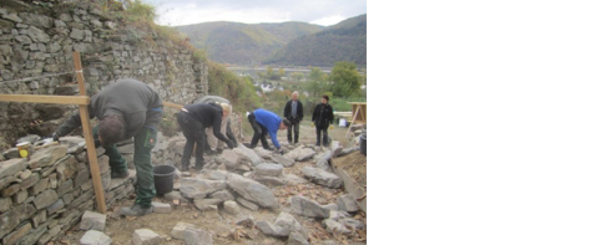 Rast- und Informationspunkt am Elling 3 | © Günther Werner Rast- und Informationspunkt am Elling 3 | © Günther Werner