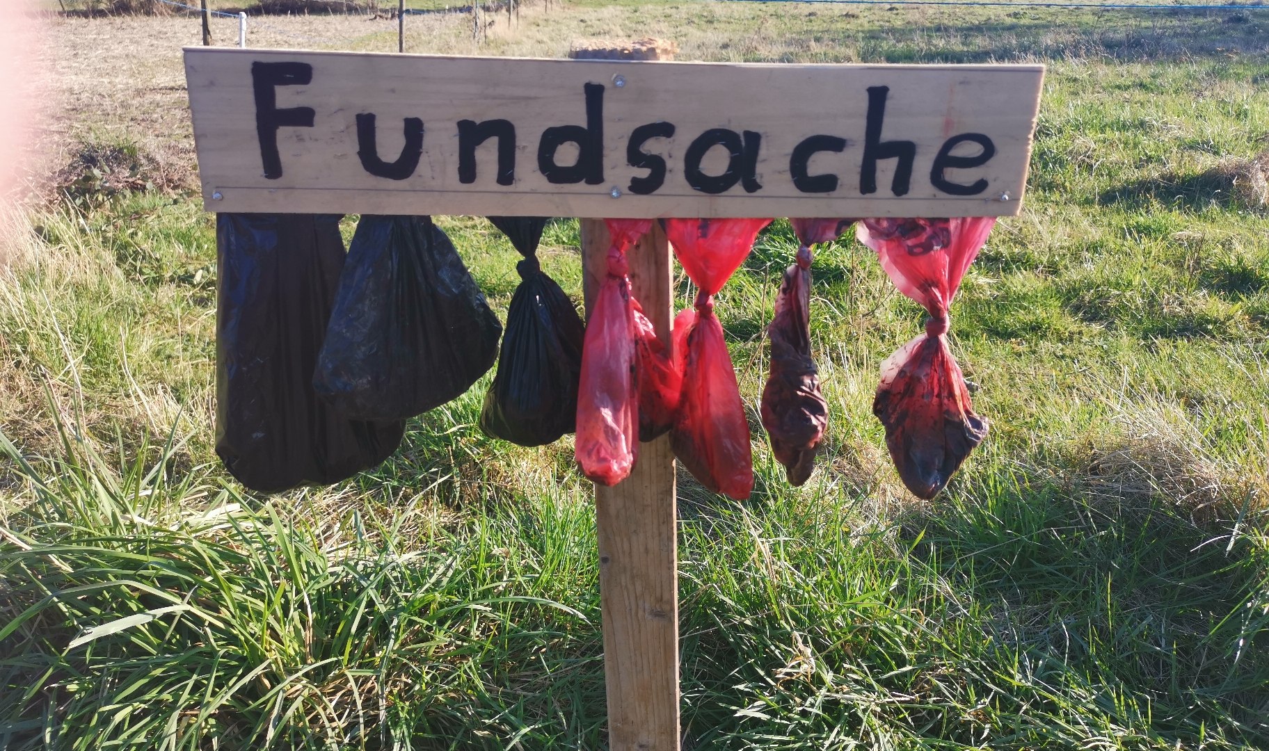 Fundsache Hundekot | © Ortsgemeinde Spay Fundsache Hundekot | © Ortsgemeinde Spay