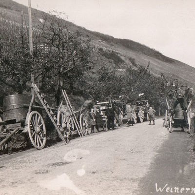 Weinlese 1925 | © Florian Weingart Weinlese 1925 | © Florian Weingart