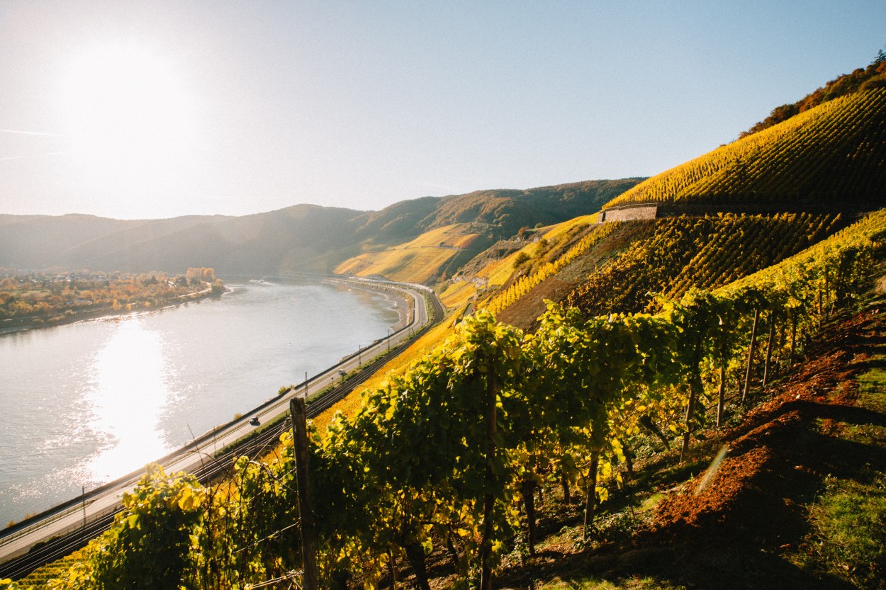 Bopparder Hamm Richtung Süden | © Weingut Matthias Müller Bopparder Hamm Richtung Süden | © Weingut Matthias Müller