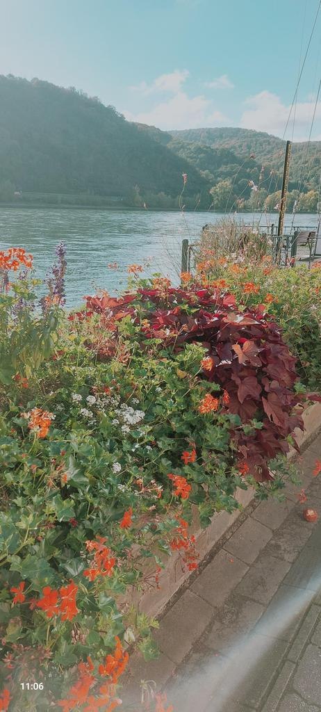 Pflanztag 2025 | © Ortsgemeinde Spay