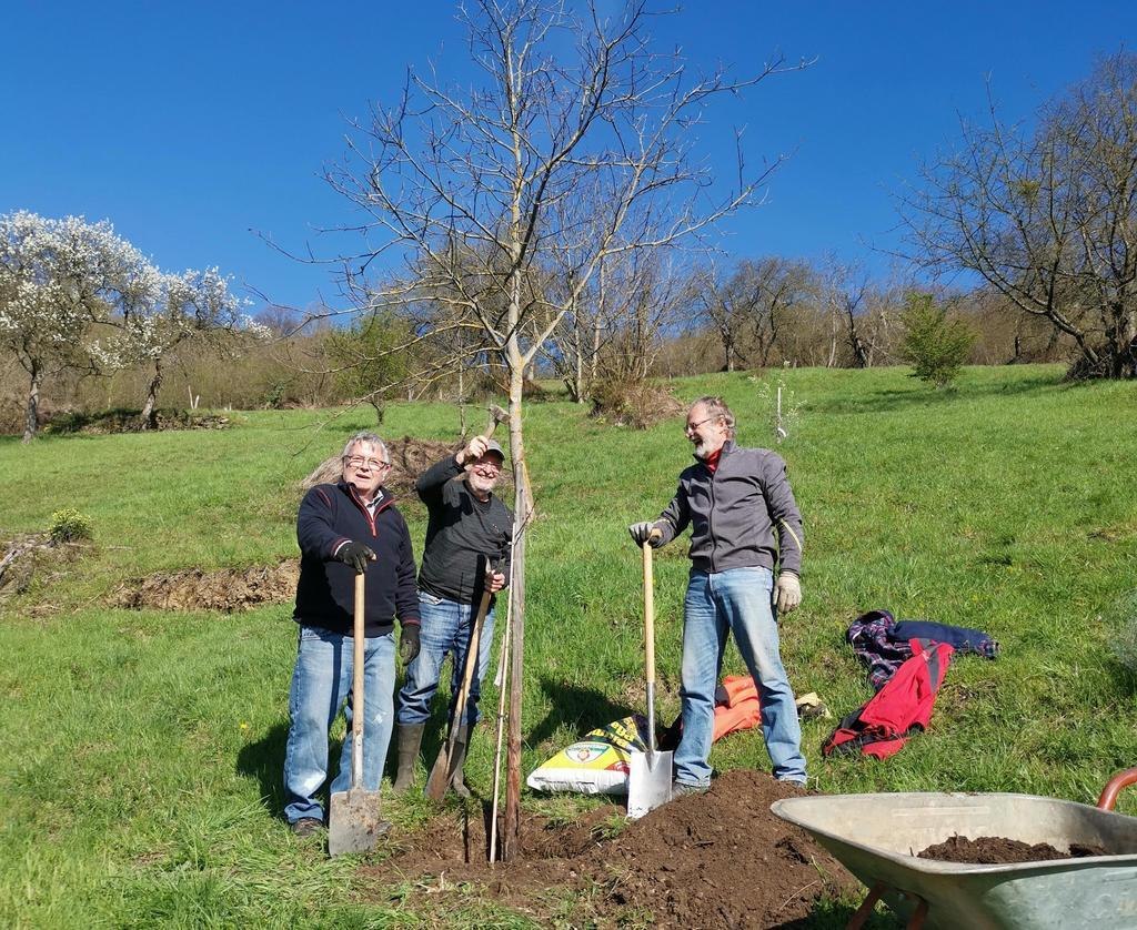 Grüner Daumen Spay Obstgarten 2023 | © Grüner Daumen Spay