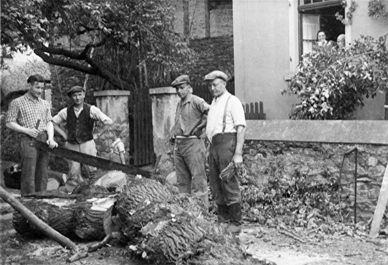 1944 Dorflinde Blitzschlag II | © Rosa Kessler 1944 Dorflinde Blitzschlag II | © Rosa Kessler