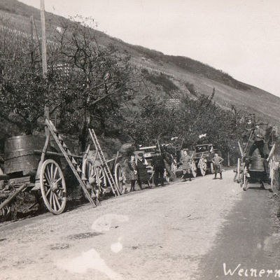 Weinlese 1925 | © Florian Weingart