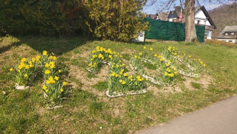 Blumenbeet 1200 Blumenbeet 1200