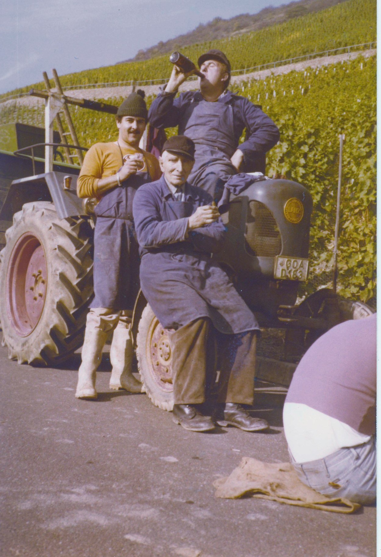 Ohlenberg, nach der Weinbergs-Zusammenlegung,
drei Generationen der Familie Schweikert: Lorenz, Franz und Franz-Werner
| © Franz-Werner Schweikert