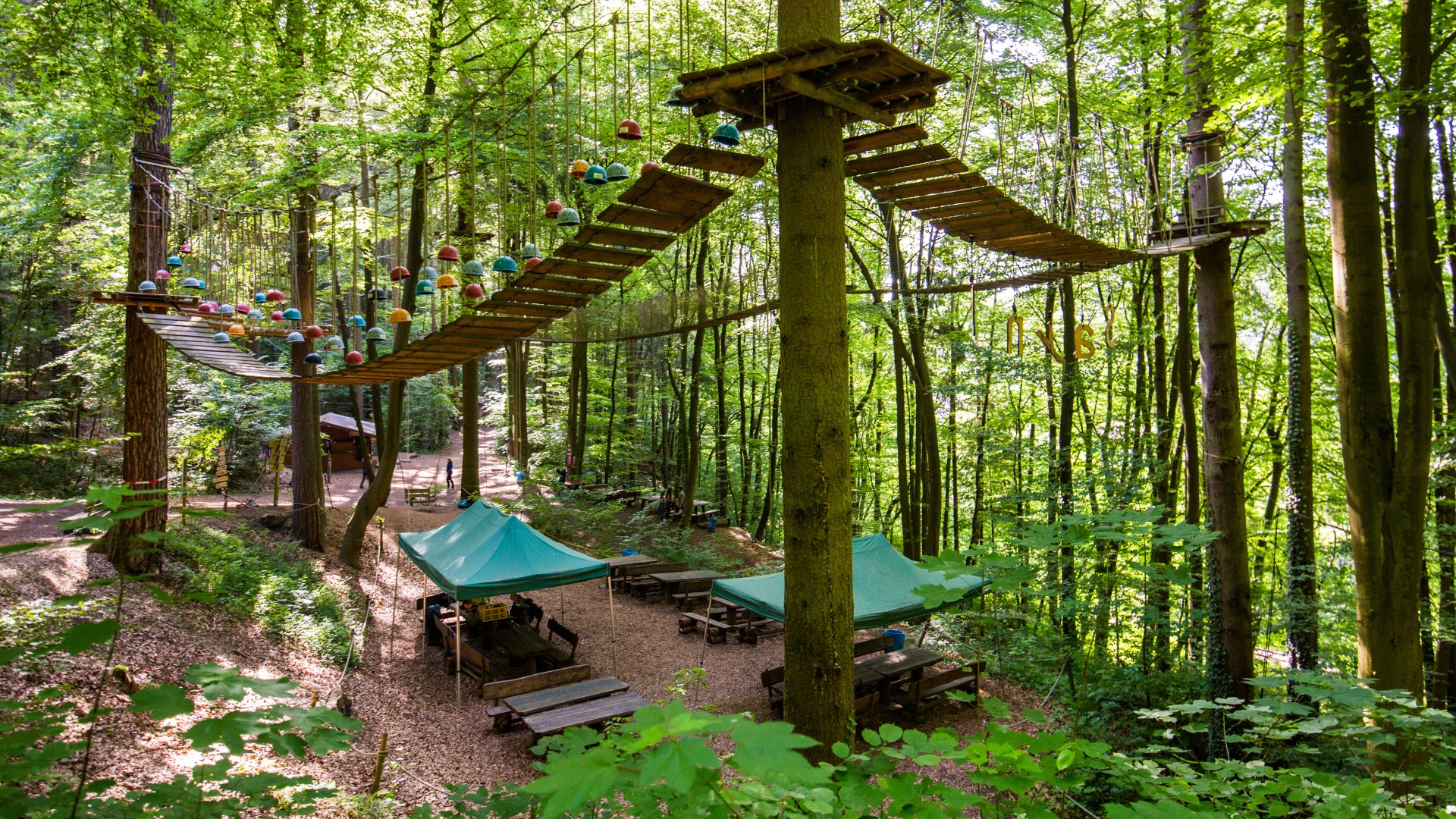 Kletterwald Sayn | &copy; Henry Tornow