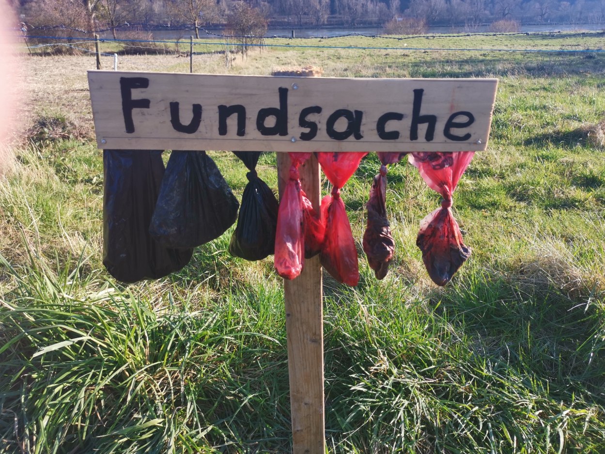 Fundsache Hundekot | © Ortsgemeinde Spay Fundsache Hundekot | © Ortsgemeinde Spay