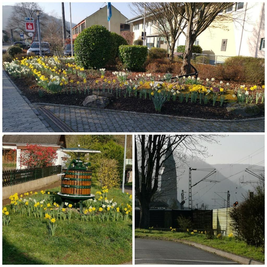 Grüner Daumen Spay Frühling 2025 | © Ortsgemeinde Spay Grüner Daumen Spay Frühling 2025 | © Ortsgemeinde Spay