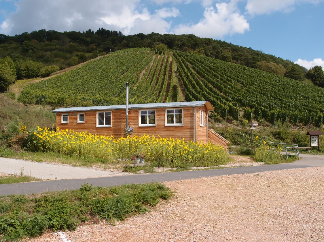 Weingut Weingart | © Florian Weingart Weingut Weingart | © Florian Weingart