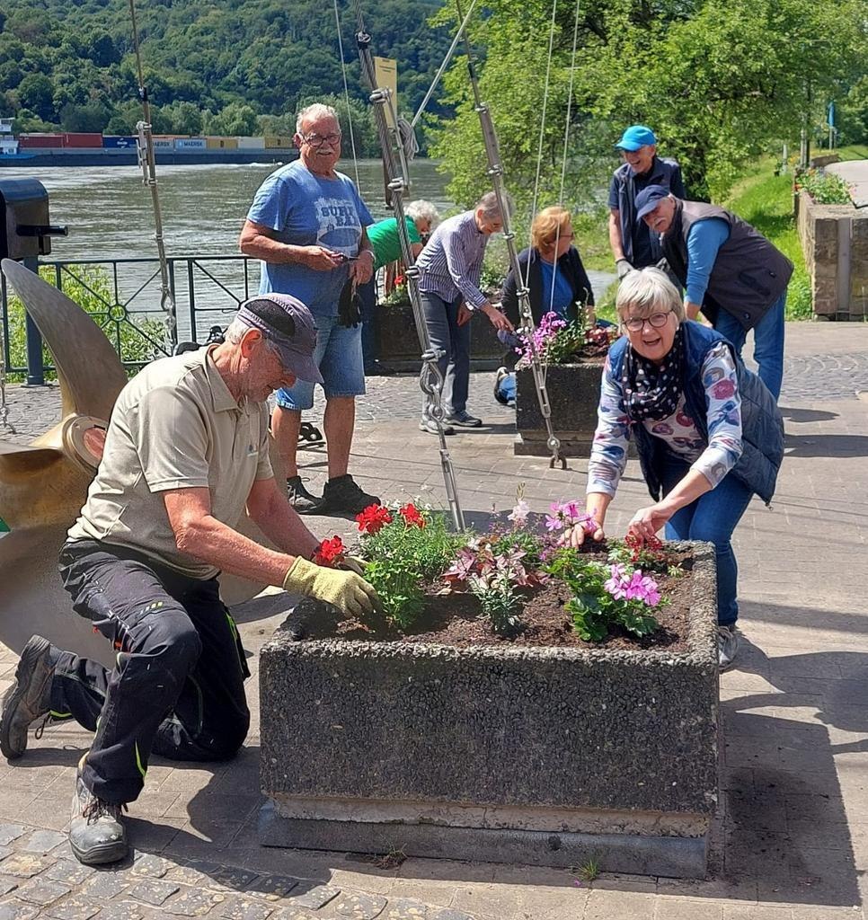 Spayer Pflanztag 2024 (1) | © Ortsgemeinde Spay Spayer Pflanztag 2024 (1) | © Ortsgemeinde Spay