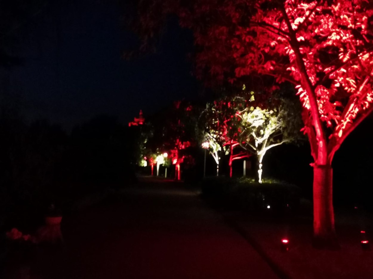 Rhein ohne Flammen 08.08.20 GW3 | © Günther Werner Rhein ohne Flammen 08.08.20 GW3 | © Günther Werner