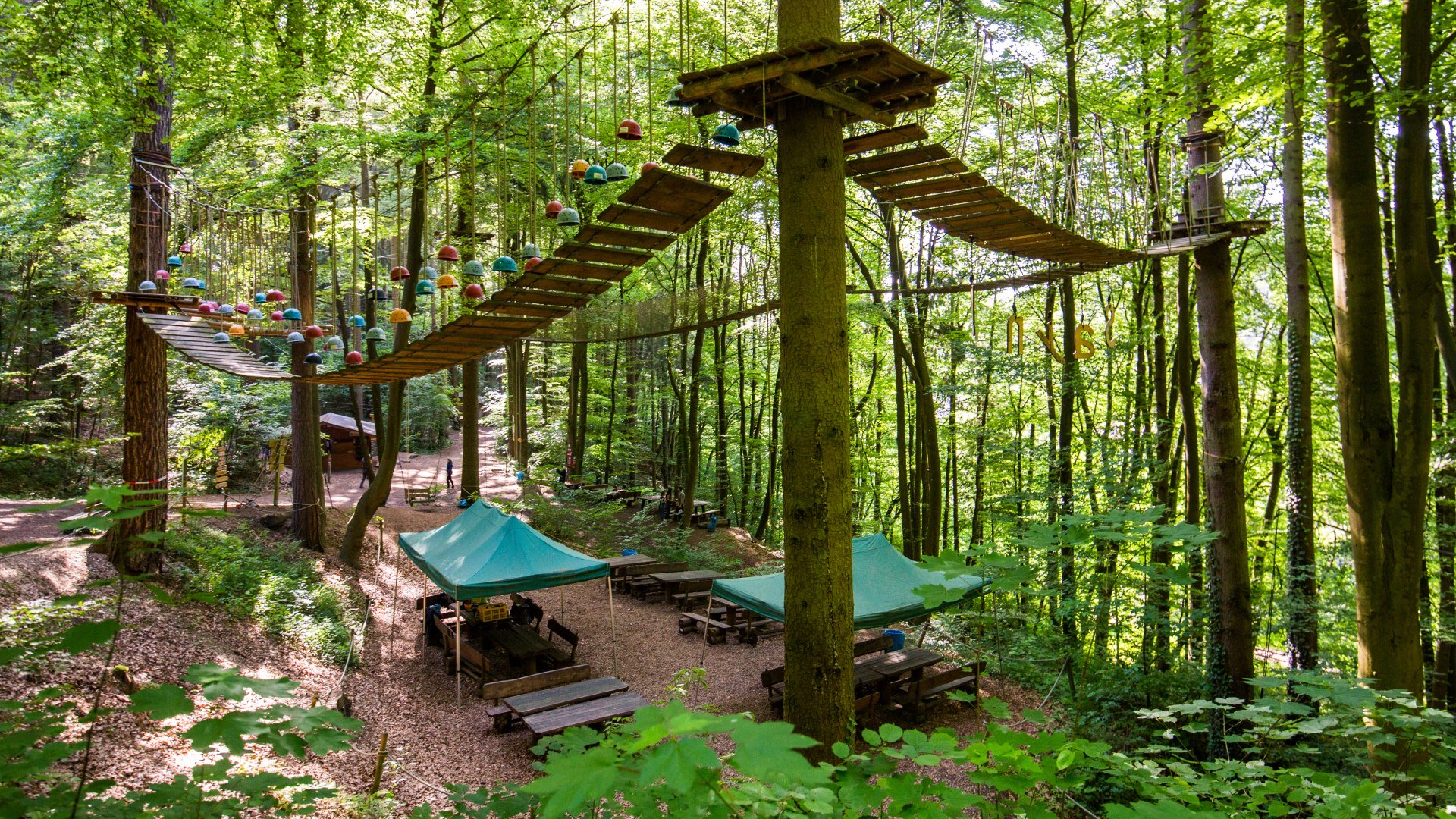 Kletterwald Sayn | &copy; Henry Tornow