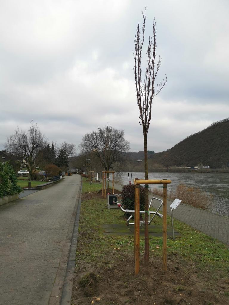 Spende 2026 | © Ortsgemeinde Spay Spende 2026 | © Ortsgemeinde Spay