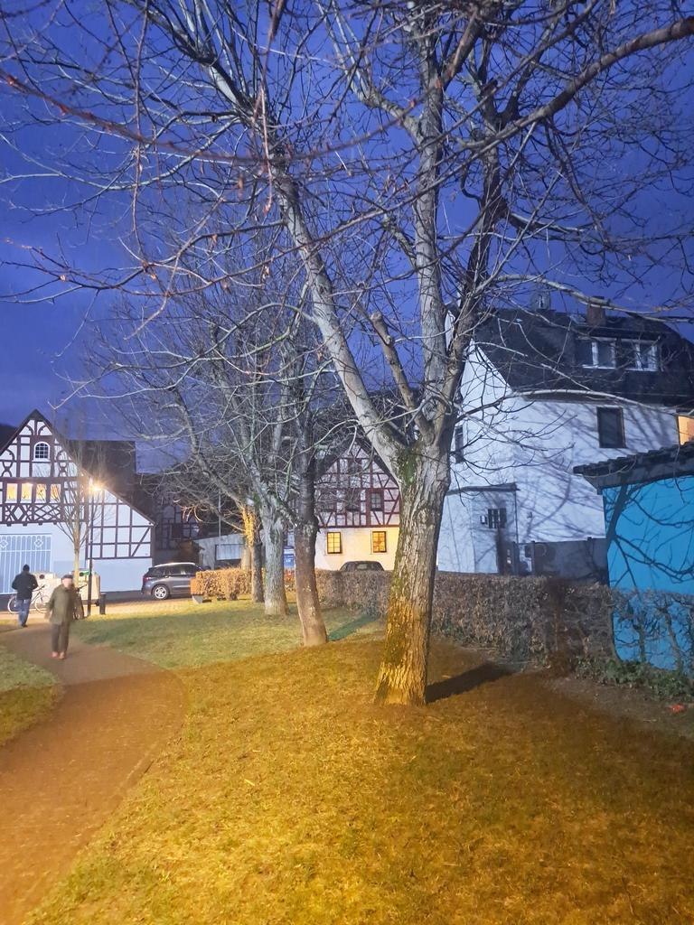 Baumf&auml;llungen auf dem Dorfplatz | &copy; Ortsgemeinde Spay