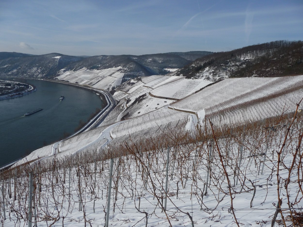 Bopparder Hamm Winter im Winter | © Weingut Matthias Müller Bopparder Hamm Winter im Winter | © Weingut Matthias Müller