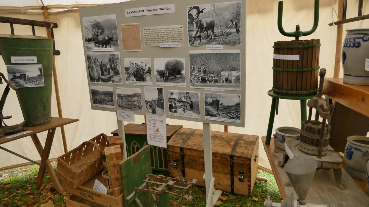 Landwirtschaft Kirschen Weinbau | © Klaus Nörtersheuser