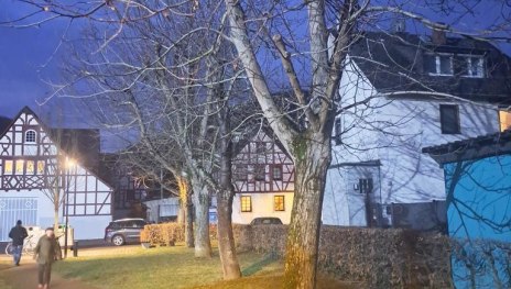 Baumfällungen auf dem Dorfplatz | © Ortsgemeinde Spay