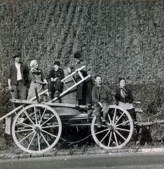 Traubenlese mit Ochsrenkarren | &copy; Helmut G&uuml;nther