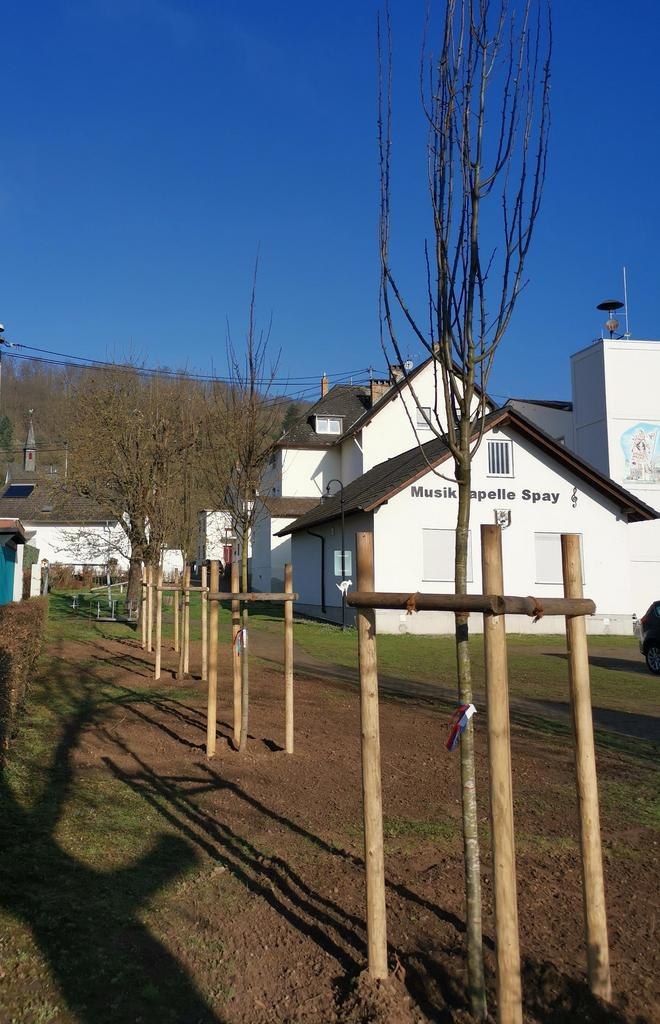 Neue B&auml;ume auf dem Dorfplatz | &copy; Ortsgemeinde Spay