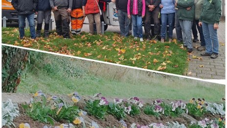 Gelungener Pflanztag 2025 | © Jennifer Kuhnert