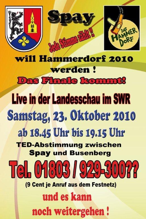 Flyer TED Abstimmung | © Rudolf Weber