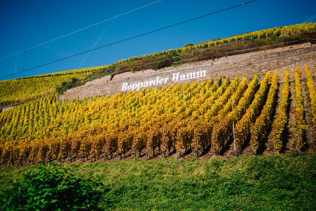 Bopparder Hamm Schriftzug | © Weingut Matthias Müller Bopparder Hamm Schriftzug | © Weingut Matthias Müller