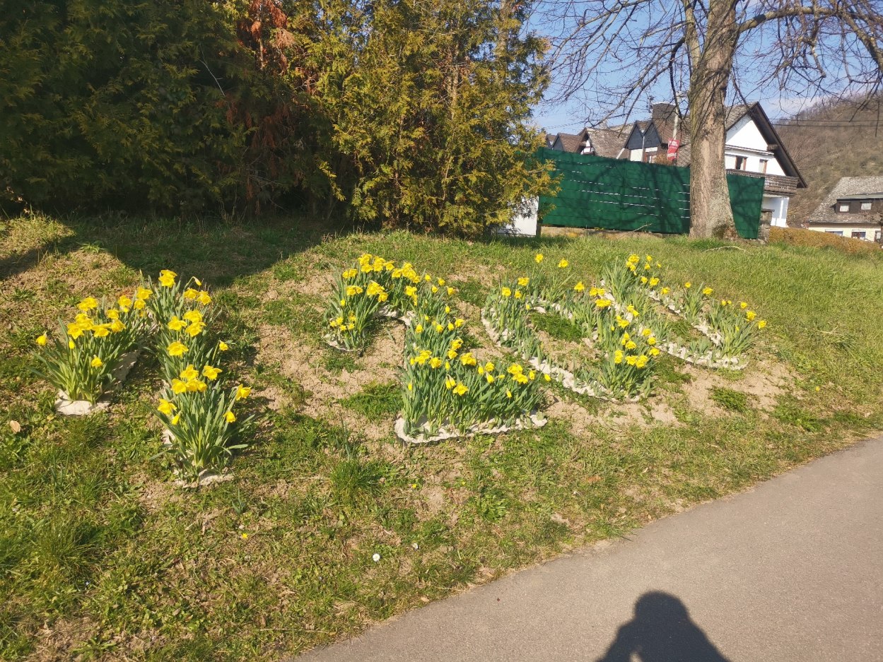 Blumenbeet 1200 Blumenbeet 1200