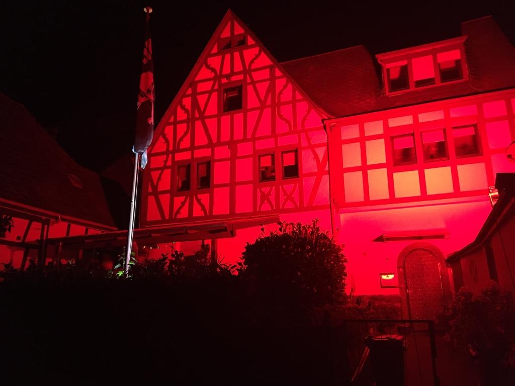 Rhein ohne Flammen 08.08.20 MM7 | © Martina Müller Rhein ohne Flammen 08.08.20 MM7 | © Martina Müller