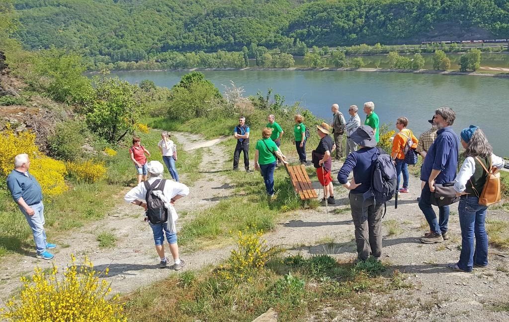 Grüner Daumen im Weinberg | © Grüner Daumen Spay